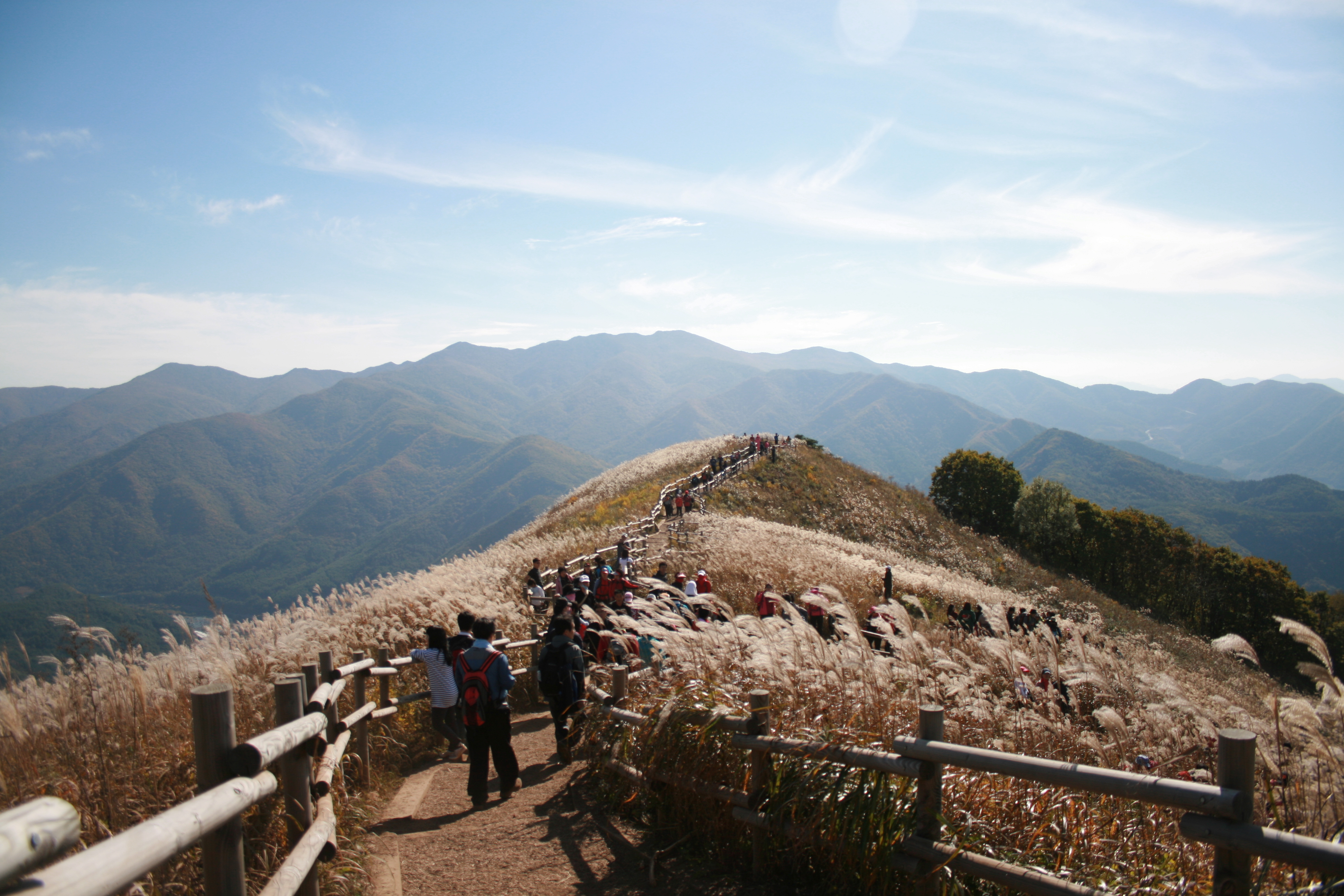 민둥산[출사:2008.10.21] 대표 이미지